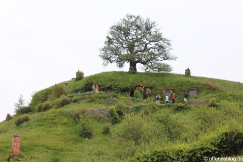 Beutelsend / Bag End Eichenbaum