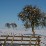 Winter 2012/13