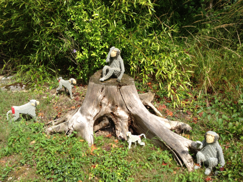 LEGOLAND® Deutschland Safari - Affen