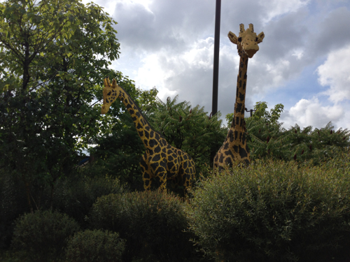 LEGOLAND® Deutschland Safari - Giraffen
