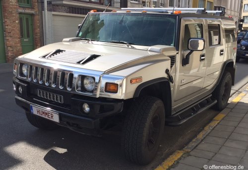 Hummer Nummernschild